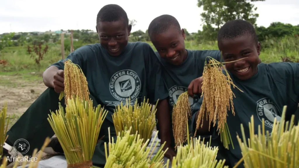 Jeunes producteurs de riz souriants en Afrique de l’Ouest