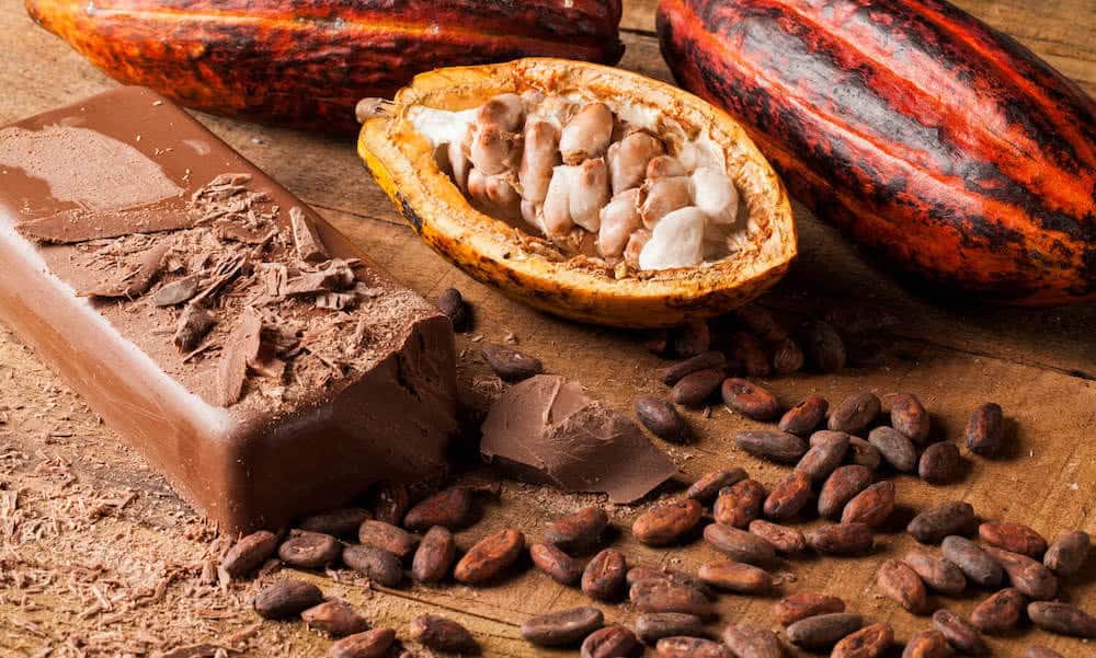 f_ves de cacao pour la transformation en chocolat