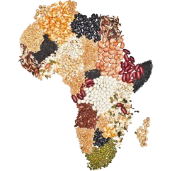 Produits alimentaires en Afrique