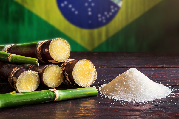 Grossiste sucre ICUMSA 45 d'origine Brésil